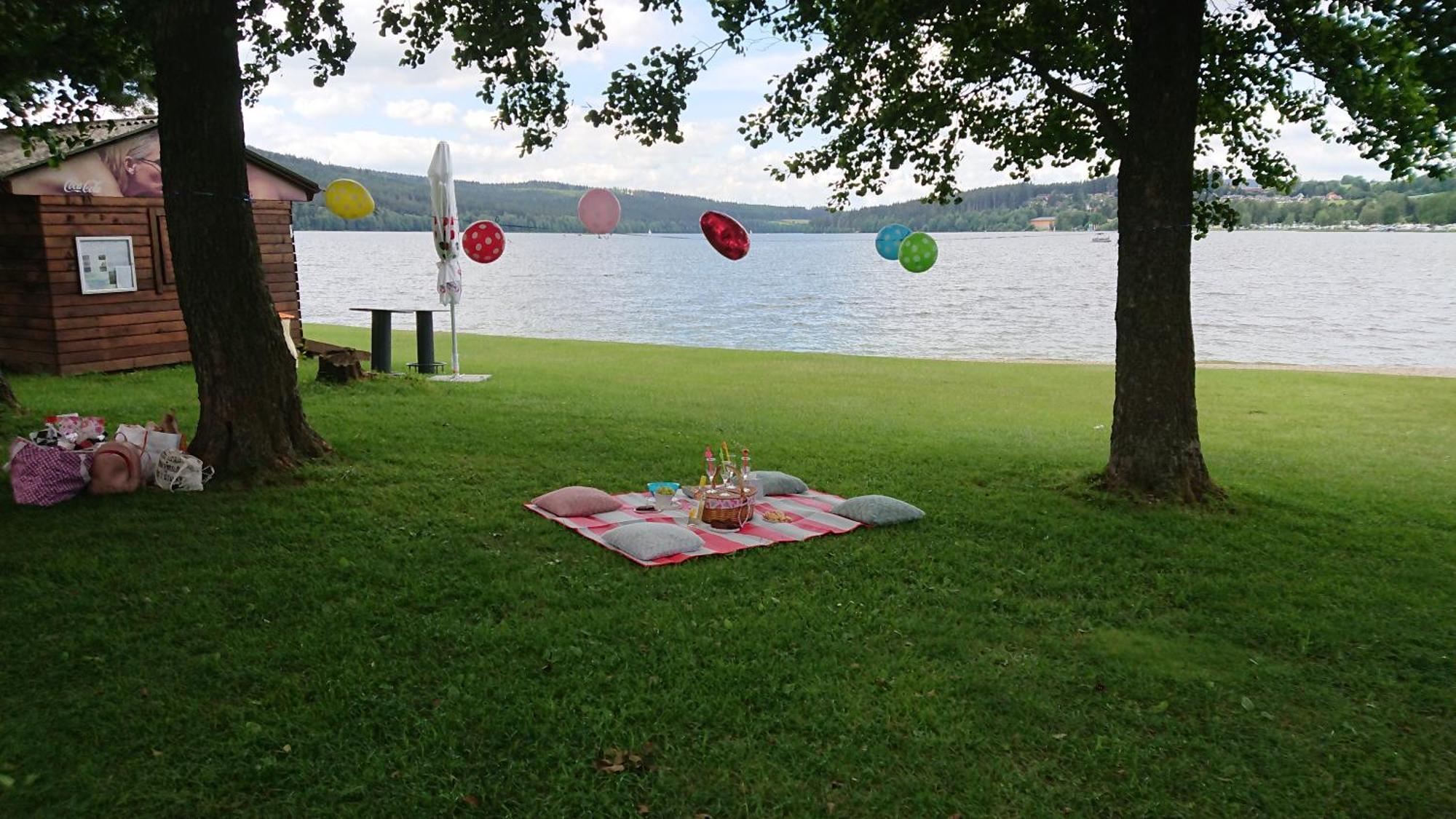 Lipno99 Villa Lipno nad Vltavou Cameră foto